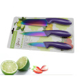 Ensemble de couteau de cuisine en plastique coloré 3PCS (SE-3542)